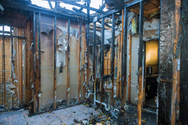Professional Fire Damage Repair technician working in Lithia, FL
