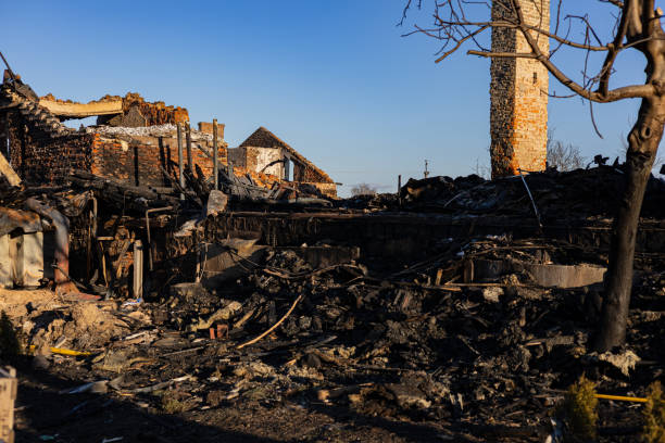 Reliable Fire Damage Repair contractor in Lithia, FL by Fire Damage Flint