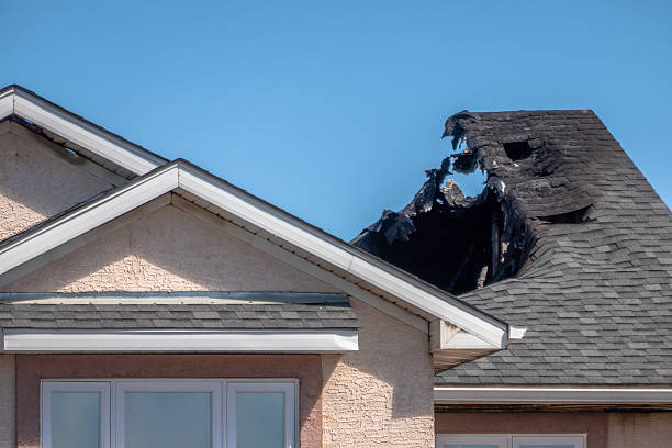 Top rated local Fire Damage Repair specialists in Lithia, FL